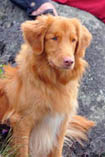 Knut 1 year